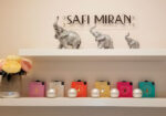 Safi Miran