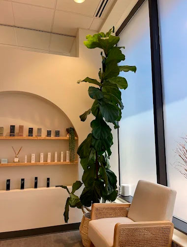 The Luxe Room