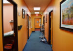 South Huron Wellness Center